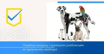 Перетин кордону ЄС з домашніми улюбленцями: Повний гайд